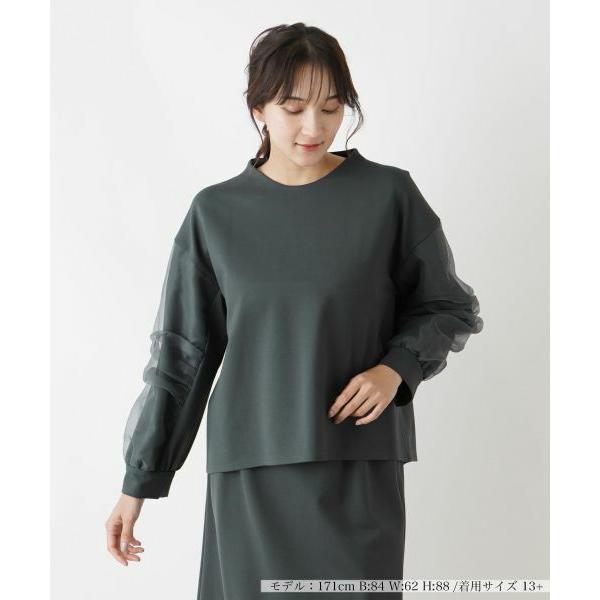 Leilian PLUS HOUSE / レリアンプラスハウス ボリュームスリーブプルオーバー