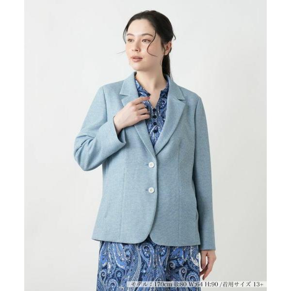 Leilian PLUS HOUSE / レリアンプラスハウス 【店舗人気】ノッチドラペルジャケット