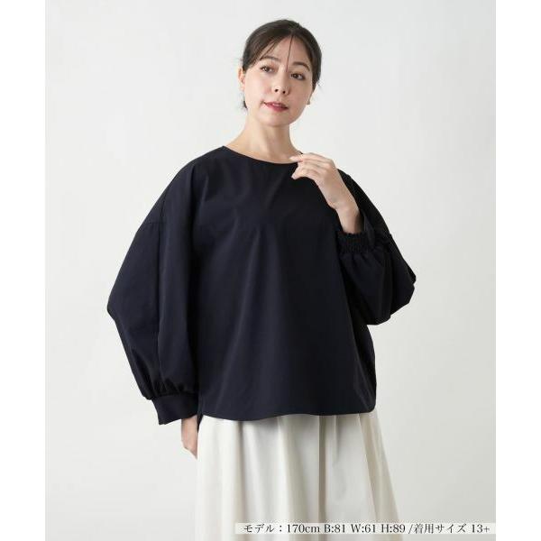 Leilian PLUS HOUSE / レリアンプラスハウス 【店舗人気】洗えるブラウス