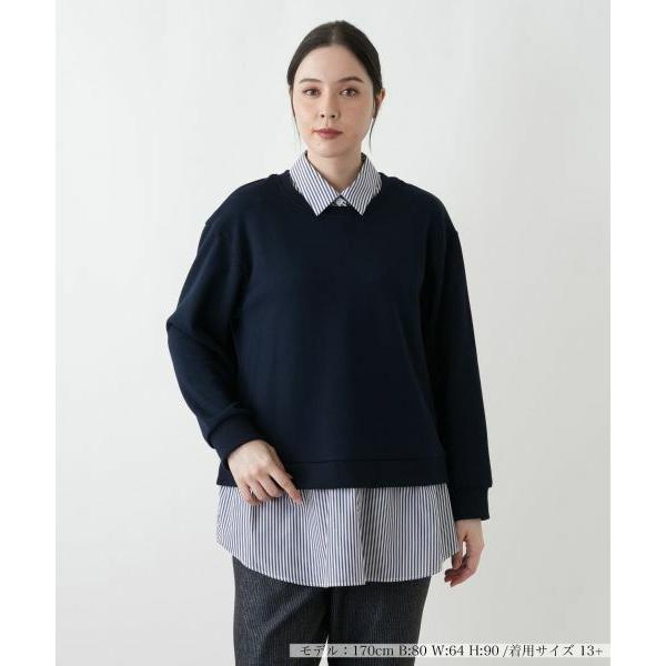 Leilian PLUS HOUSE / レリアンプラスハウス 【ウォッシャブル】セーター【プラス企...