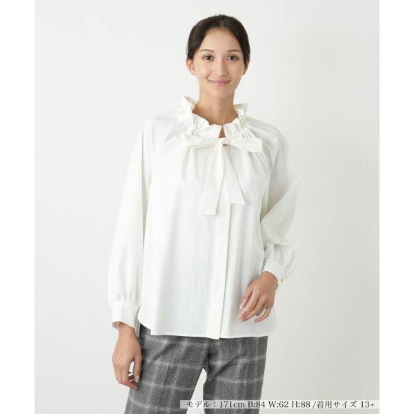 Leilian PLUS HOUSE / レリアンプラスハウス 【ウォッシャブル】ブラウス