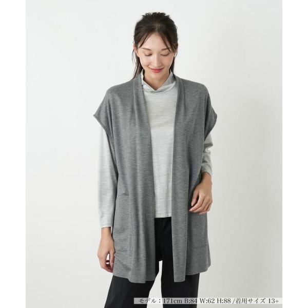 Leilian PLUS HOUSE / レリアンプラスハウス 【ウォッシャブル】ベスト【プラス企画...