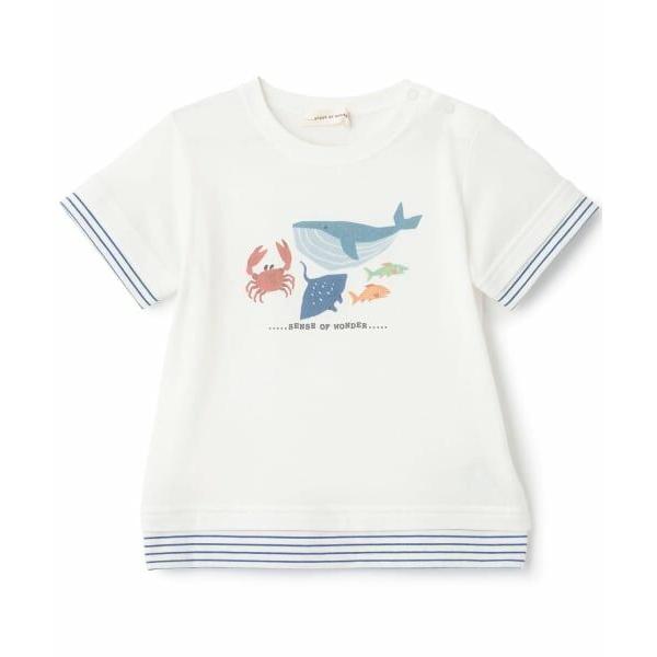 sense of wonder / センス オブ ワンダー 接触冷感海の生物プリント半袖Ｔシャツ