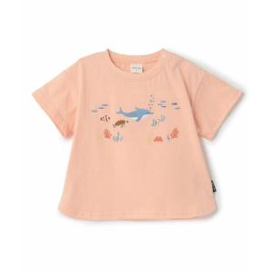 petit main / プティマイン 【接触冷感】海のいきもの刺しゅうTシャツ