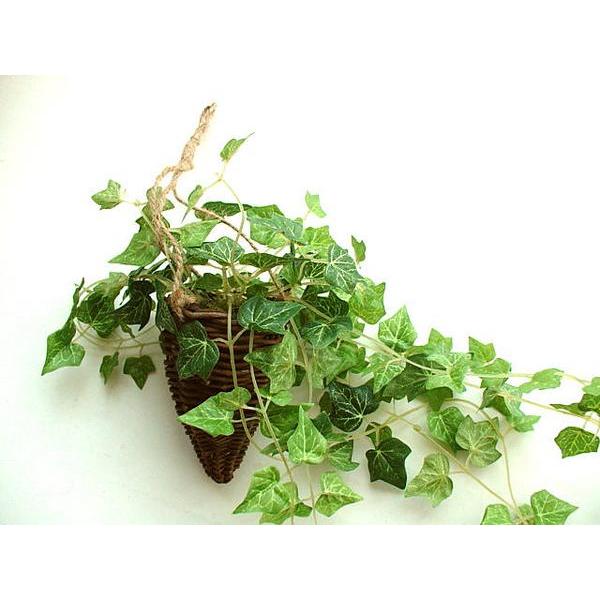 ★空気がキレイに★光触媒アイビーハンギングバスケット★麻ヒモ吊るし型壁雑貨通販【RCP】