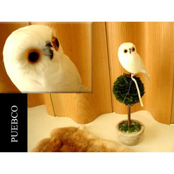★PUEBCO（プエブコ）ふくろう Owl ホワイトleft（横向き）リアルなフクロウの置物雑貨通販...