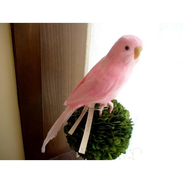 ★PUEBCO（プエブコ） Budgie　ピンク　セキセイインコ　/剥製のようにリアル鳥オブジェ♪雑...