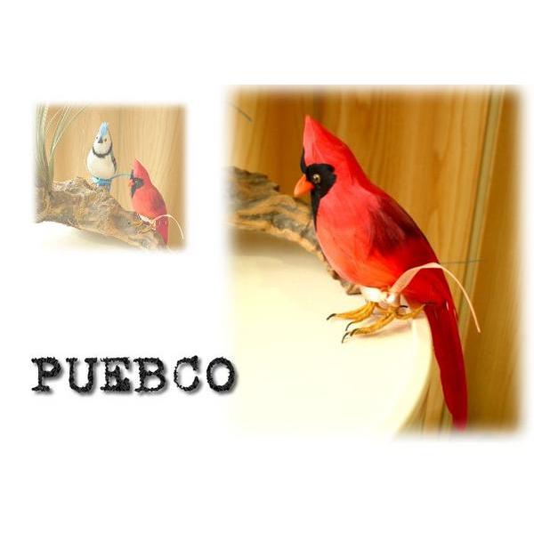 ★PUEBCO（プエブコ） Cardinal/赤剥製のようにリアル鳥オブジェ♪雑貨通販【RCP】