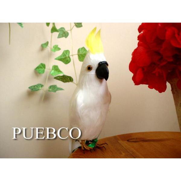 ★PUEBCO（プエブコ）　オウム　ホワイト　リアルバード　インコ鳥剥製風雑貨通販【RCP】
