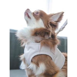 ジェラートピケ CAT&DOG 首輪 pagg...の詳細画像3