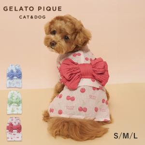 SALE20%OFF ジェラートピケ CAT&DOG 浴衣 pagg262570 ジェラピケ ドッグウェア 犬用 小型犬 散歩 お出かけ 夏祭り 花火 gelato pique