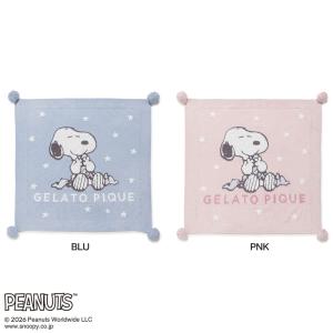 ジェラートピケ gelato pique PE...の詳細画像1