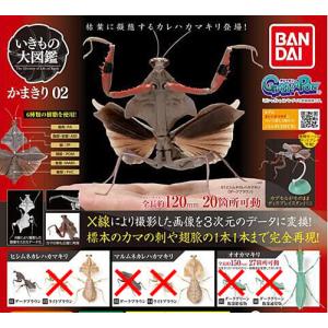 いきもの大図鑑 かまきり02【ヒシムネカレハカマキリ(ダークブラウン)】単品