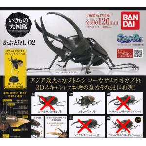 昆虫大図鑑、エラフスホソアカクワガタ、ギラファ等、ヘラクレスオオカブト いきもの大図鑑 エラフスホソアカクワガタ ヘラクレスオオカブト