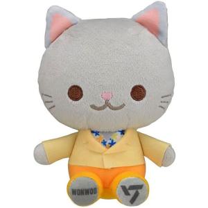 SEVENTEEN ANIMAL COORDY ミニぬいぐるみ SECTOR 17 vol.2 【HOSHI