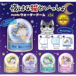 ディズニー Disney100 アクリルキーホルダー 全10種セット : セレン