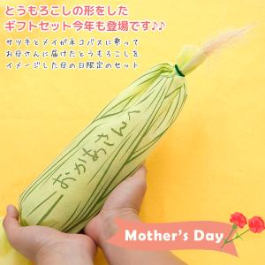 となりのトトロ とうもろこしギフトセット とな...の詳細画像1