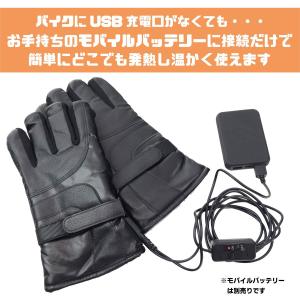 リベレーター+ 電熱グローブ ヒーターグローブ...の詳細画像4