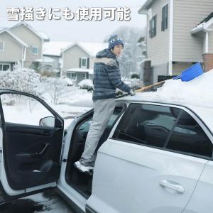 ドアステップ ルーフ ステップ カスタム アル...の詳細画像5