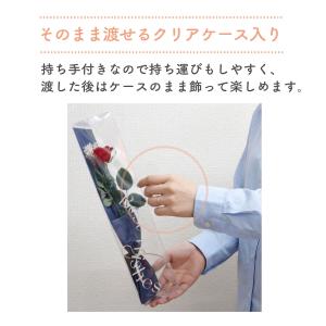 バラ 1輪 プリザーブドフラワー 花束 ブーケ...の詳細画像3