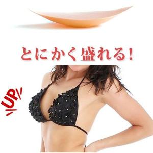 ネコポス1点で送料無料 胸パッド モリモリ レモンパッド 水着や下着にinして 通販｜selene