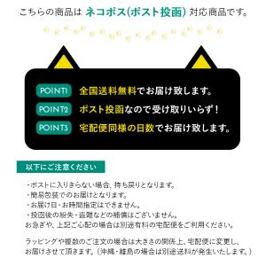 Tバック 速乾 アンダーショーツ ベージュ 肌...の詳細画像5
