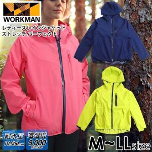 DAIWA（ダイワ） DW-1300 ゴアテックス ハイロフト サロペット