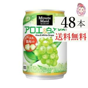 送料無料 ミニッツメイドアロエ&白ぶどう...の商品画像