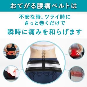 腰痛ベルト 細い 薄型 大きいサイズ 140 ...の詳細画像3