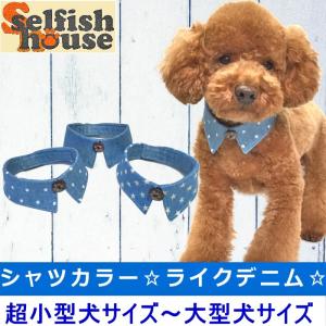 犬 服 付け襟 デニム シャツカラー アクセサリー 猫 首輪 エリ えり ドッグウェア ハンドメイド 受注制作