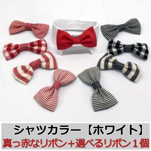 犬 猫 蝶ネクタイ シャツカラーホワイト 白 赤リボン