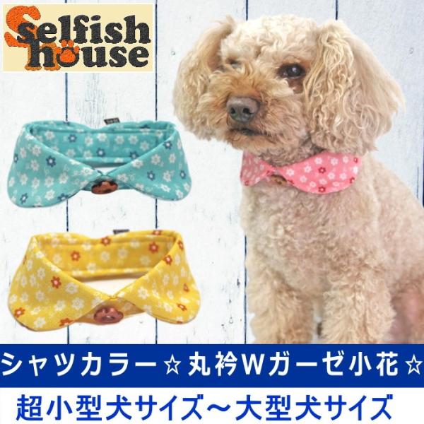 犬 服 付け襟 丸衿 Ｗガーゼ小花 花柄 シャツカラー アクセサリー 猫 首輪 エリ えり ドッグウ...