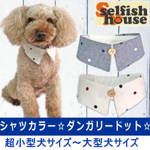 犬 服 付け襟 ダンガリードット シャツカラー アクセサリー 猫 首輪 エリ えり ドッグウェア ハンドメイド 受注制作