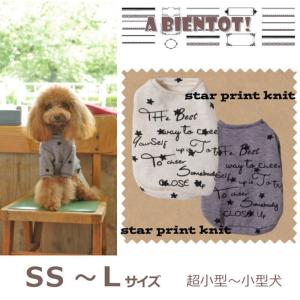 犬 服 Tシャツ フロッキープリント 星柄ニット ロンT 長袖 秋冬 ドッグウェア 超小型犬 パピー 仔犬 2017 A BIENTOT! (アビエント)｜selfish-house