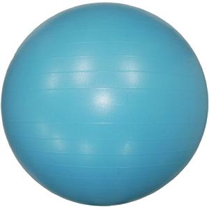 NatuRani(ナチュラニ) バランス感覚を鍛える ボディーボール65cm NR-2235 ブルー｜selftraders-shopping