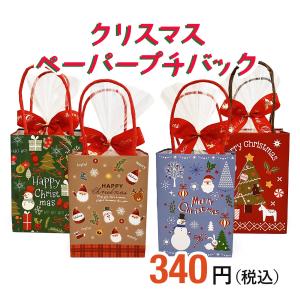 ご予約完成しました　クリスマスバッグ　4点 クリスマスお菓子の詰め合わせ【クリスマスオーナメントバッグ（2種