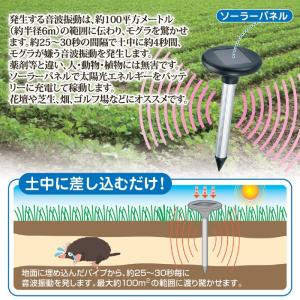 ソーラー式 モグラ撃退器DX SV-6384 ...の詳細画像2