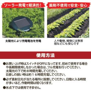 ソーラー式 モグラ撃退器DX SV-6384 ...の詳細画像3