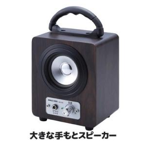 BOSE（ボーズ） ♪BOSE 101MM スピーカー ペア パッシブスピーカー
