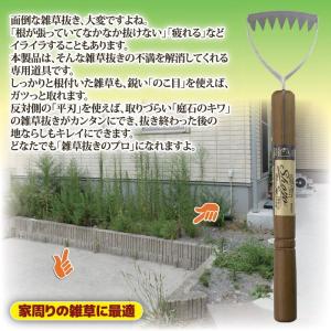 草取り 道具 根こそぎ ごそっと除草くわ 園芸...の詳細画像2