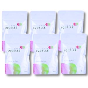 大塚製薬 エクエル パウチ 120粒 30日分 正規品 5袋セット 3営業 大塚製薬 エクエル パウチ 120粒 30日分 正規品 5袋セット 3営業