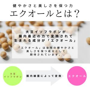 【箱装】調剤薬局から発送するから安心 エクエル...の詳細画像2