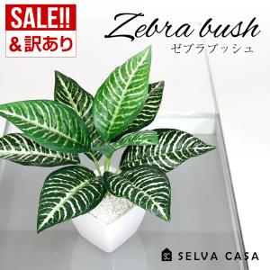 フェイクグリーン 小型 約33cm 人工観葉植物 造花 ゼブラブッシュ インテリアグリーン 送料無料｜SELVA CASA