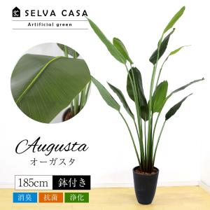 SELVA CASA セルヴァカーサ|フェイクグリーン 多肉植物 販売