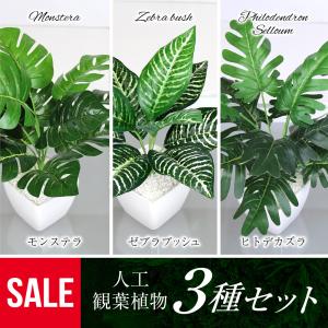 フェイクグリーン 小型 3種セット 人工観葉植物 モンステラ ゼブラブッシュ ヒトデカズラ インテリアグリーン 送料無料