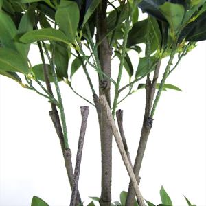 フェイクグリーン 大型 約140cm 人工観葉...の詳細画像2