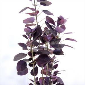 フェイクグリーン 大型 約140cm 人工観葉...の詳細画像4