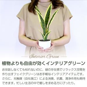 フェイクグリーン 小型 約35cm 人工観葉植...の詳細画像2