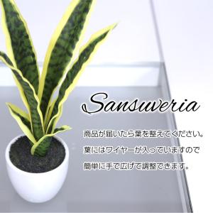 フェイクグリーン 小型 約35cm 人工観葉植...の詳細画像3