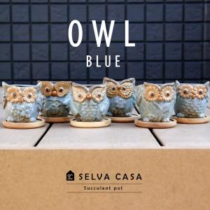 OWL blue オウルブルー 6点セット 多肉植物 鉢 フクロウ 竹製受け皿付 底穴有 送料無料｜SELVA CASA